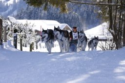 Lenk 2013
